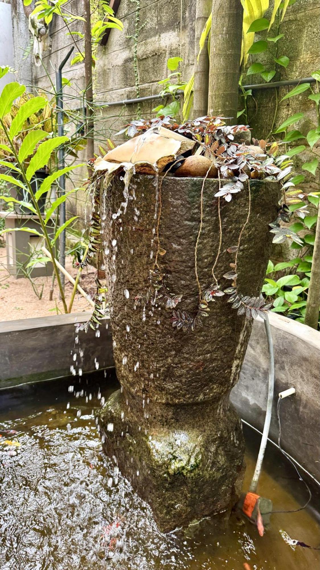 Gomez Place Negombo Zewnętrze zdjęcie